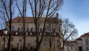 Read more about the article Zmiana władzy u Wizytek